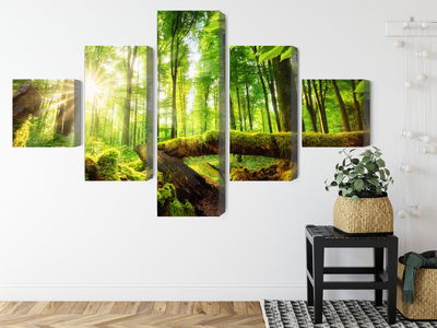 Ljuddämpande tavla - Rays of the sun in the 3d