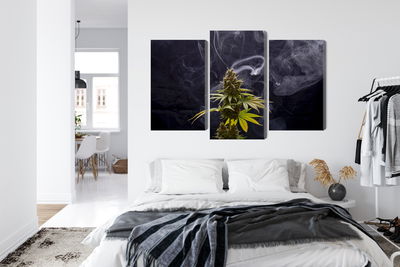 Ljuddämpande tavla - Cannabis plant on a smoky