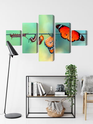 Ljuddämpande tavla - Colorful caterpillars