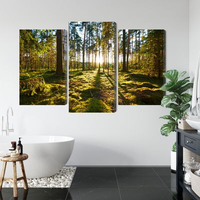 Ljuddämpande tavla - Forest landscape with sunset