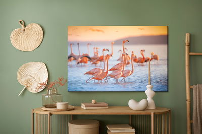 Ljuddämpande tavla - Flamingos birds