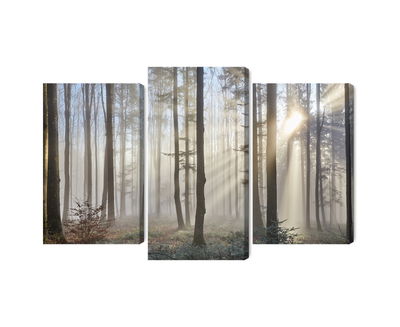 Ljuddämpande tavla - Sunrise in the woods