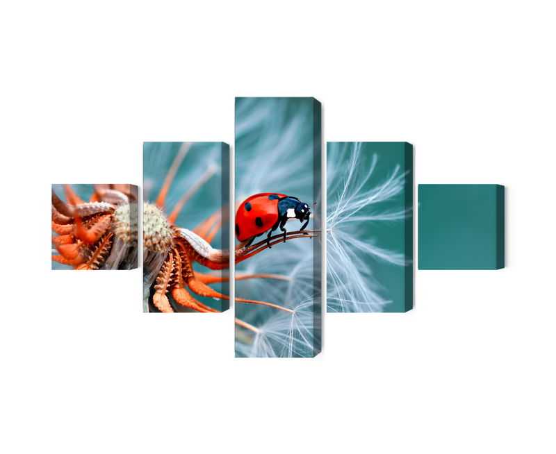 Ljuddämpande tavla - Ladybug on a dandelion