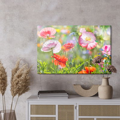 Ljuddämpande tavla - Poppies on a sunny meadow