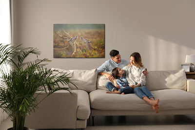 Ljuddämpande tavla - Deer with a doe