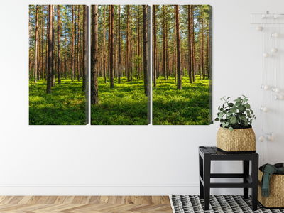 Ljuddämpande tavla - 3d pine forest