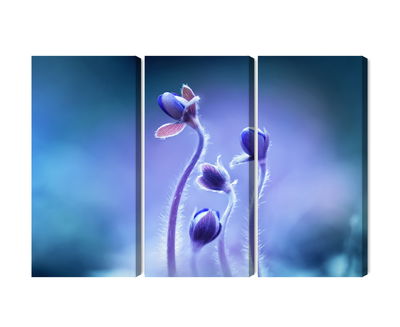 Ljuddämpande tavla - Delicate flowers on a macro