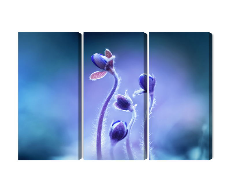 Ljuddämpande tavla - Delicate flowers on a macro
