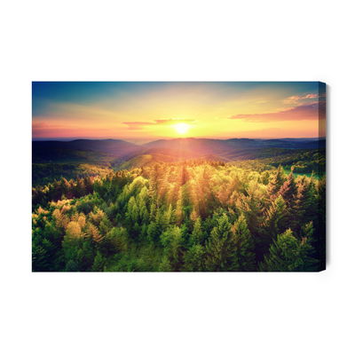 Ljuddämpande tavla - Sunset over forest hills
