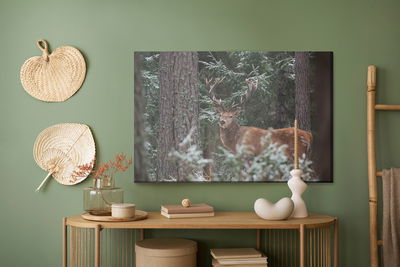 Ljuddämpande tavla - A deer with a magnificent