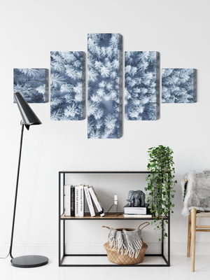 Ljuddämpande tavla - Aerial view of the winter
