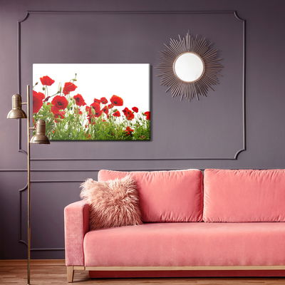 Ljuddämpande tavla - Red poppies on a white