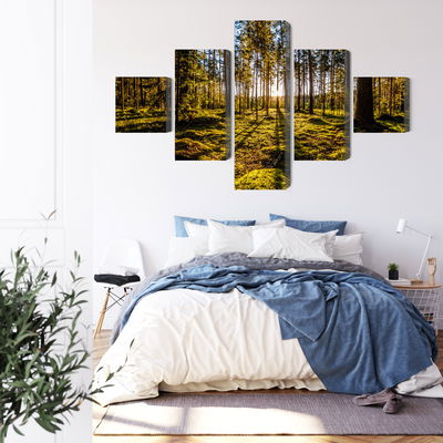 Ljuddämpande tavla - Morning sun rays