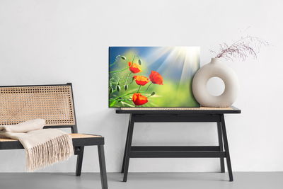 Ljuddämpande tavla - Poppies in the sunshine