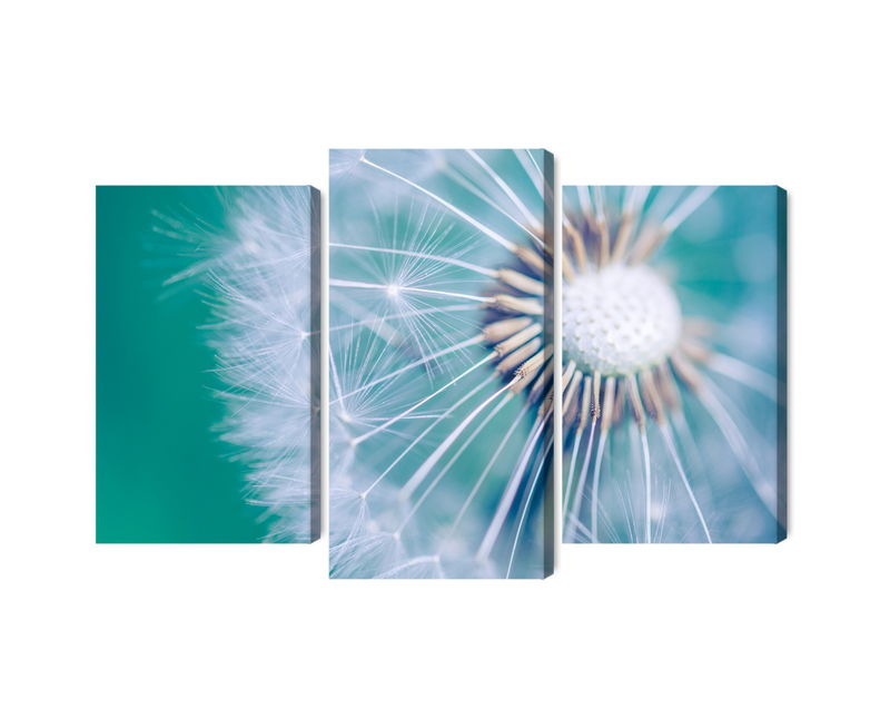 Ljuddämpande tavla - Dandelion on a macro scale