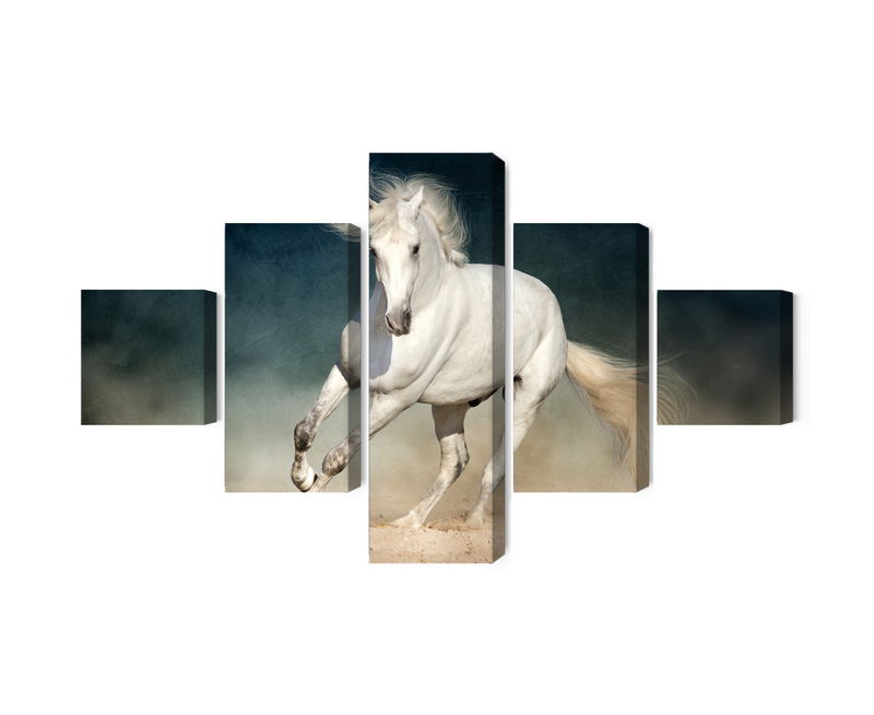 Ljuddämpande tavla - A white horse at a gallop