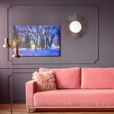 Ljuddämpande tavla - Winter in the park