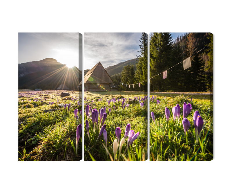 Ljuddämpande tavla - Chocholowska valley