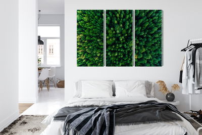 Ljuddämpande tavla - Aerial view of the green