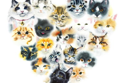 Ljuddämpande tavla - Heart of cats