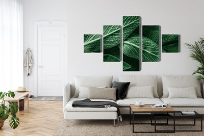 Ljuddämpande tavla - Salvia leaves on a macro