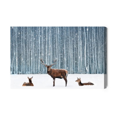 Ljuddämpande tavla - Deer and does in a winter