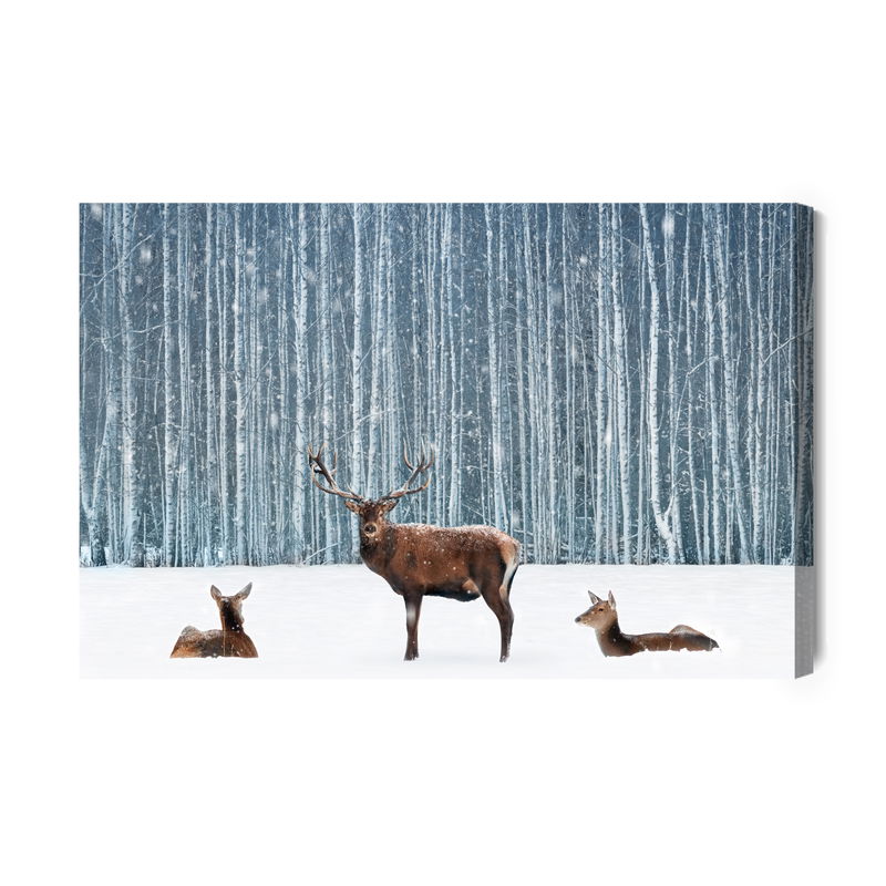 Ljuddämpande tavla - Deer and does in a winter