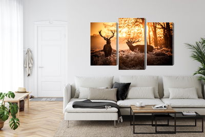 Ljuddämpande tavla - Two deer in the forest