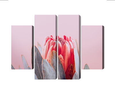 Ljuddämpande tavla - Flower of the royal protéa