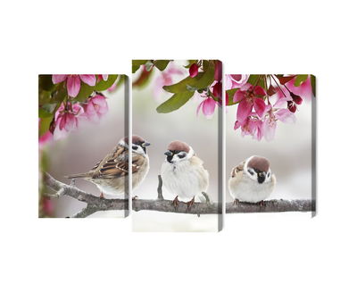 Ljuddämpande tavla - Sparrows among flowers