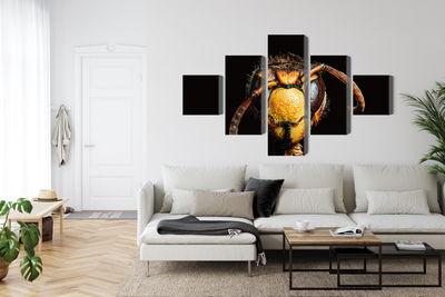 Ljuddämpande tavla - Hornet on a macro scale