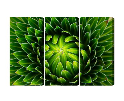 Ljuddämpande tavla - Green plant on a macro scale