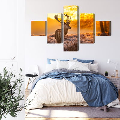 Ljuddämpande tavla - Deer in the forest at sunset