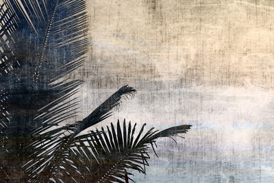 Ljuddämpande tavla - Vintage palm leaves