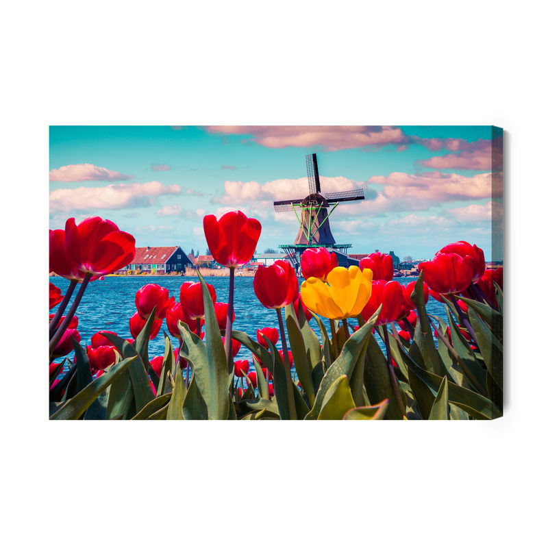 Ljuddämpande tavla - Tulips on a dutch windmill