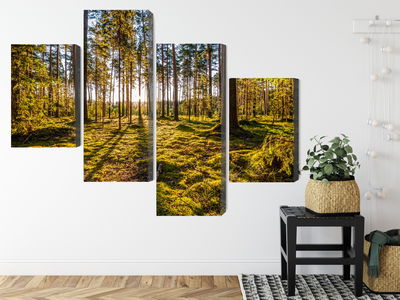Ljuddämpande tavla - 3d sunny forest landscape
