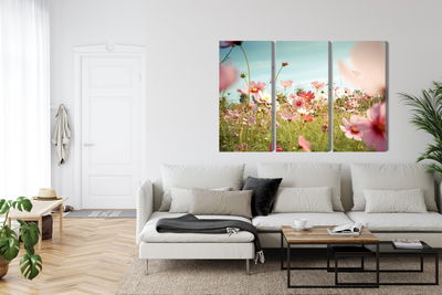 Ljuddämpande tavla - Cosmos flowers in the garden