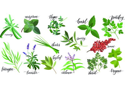 Ljuddämpande tavla - Described herbs and spices