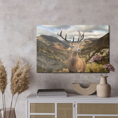 Ljuddämpande tavla - Deer on the background