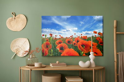 Ljuddämpande tavla - Blooming poppies in a meadow