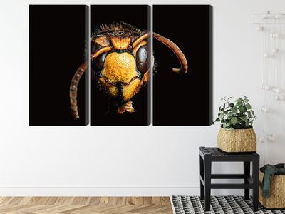 Ljuddämpande tavla - Hornet on a macro scale