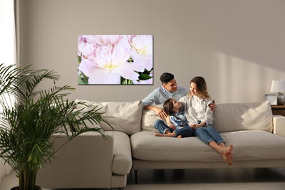 Ljuddämpande tavla - Peony rose in light pink