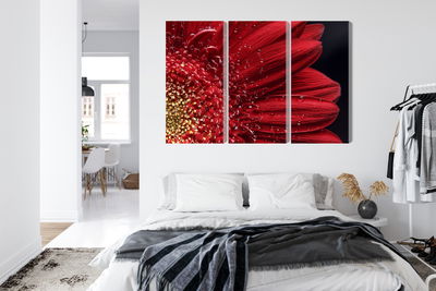 Ljuddämpande tavla - Flower petals on a macro