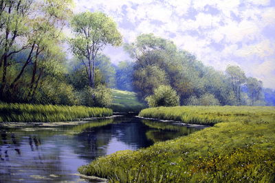 Ljuddämpande tavla - River in the forest