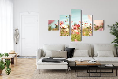 Ljuddämpande tavla - Cosmos flowers in the garden