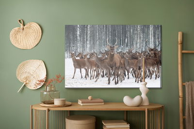 Ljuddämpande tavla - Deer among the hinds