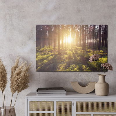 Ljuddämpande tavla - The sun's rays in the forest