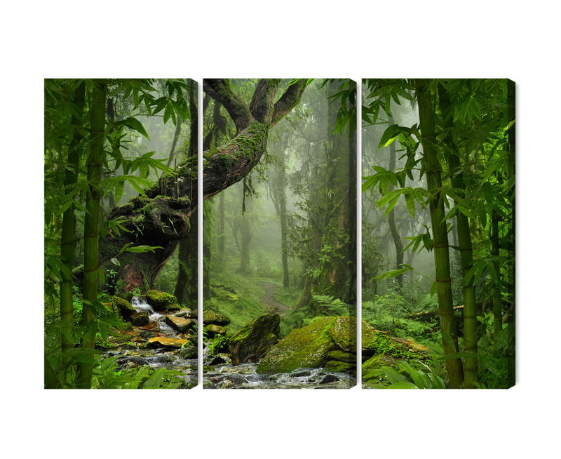 Ljuddämpande tavla - The green of the rain forest