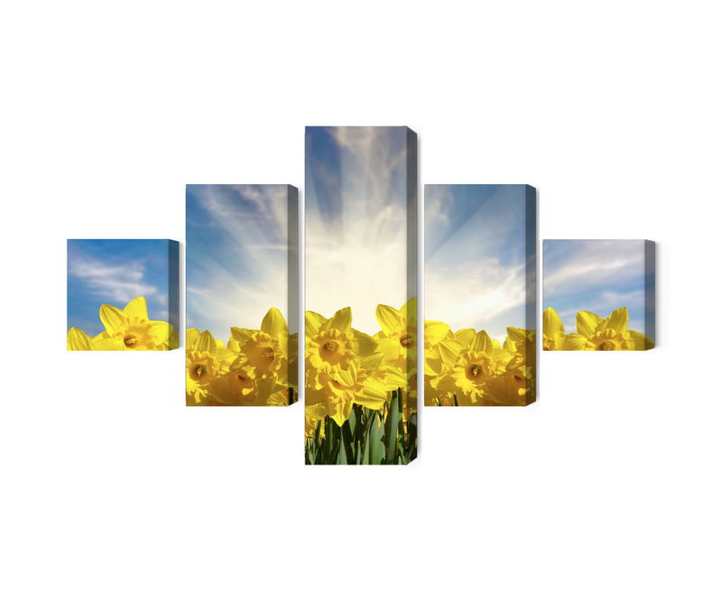 Ljuddämpande tavla - 3d daffodils field