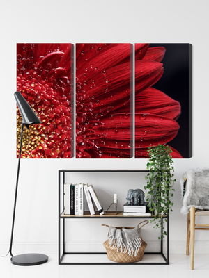 Ljuddämpande tavla - Flower petals on a macro